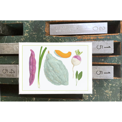 RFM-418 Hubbard Squash