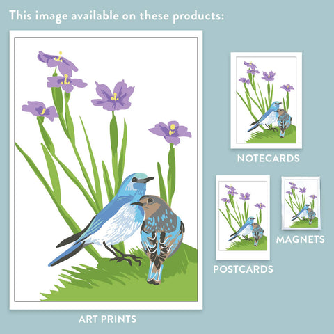 RBI-111 Bluebirds & Blue-Eyed Grass