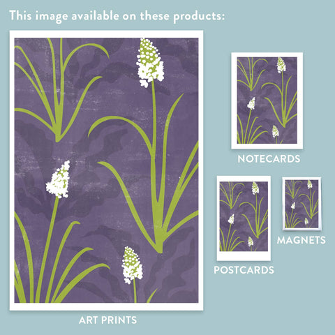 RFL-302 Camas & Soaproot