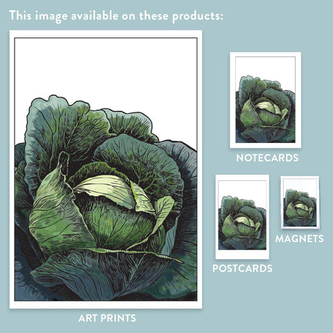RFM-32 Cabbage