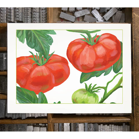 RFM-177 Tomatoes