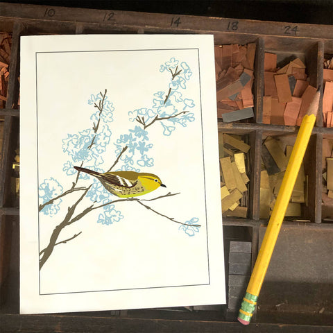 RBI-05 Warbler in Flowering Tree