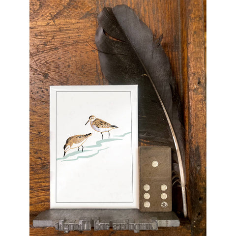 RBI-106 Sandpipers