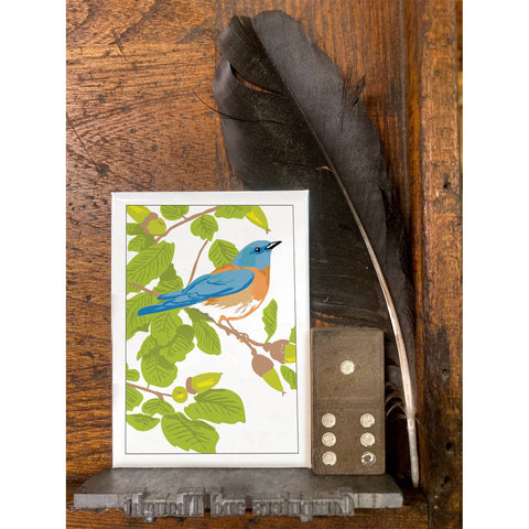 RBI-104 Bluebird & Live Oak