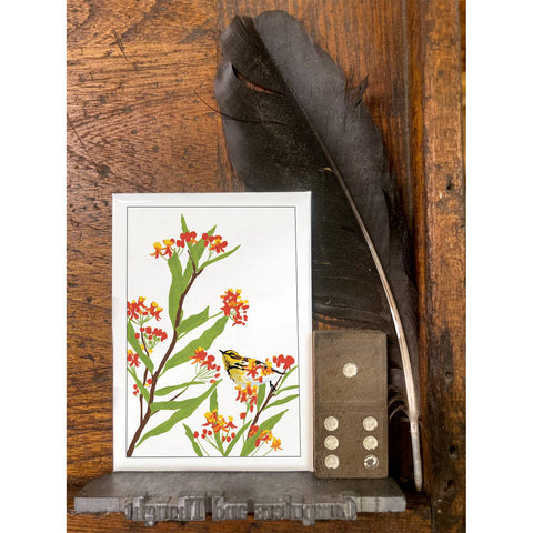 RBI-218 Milkweed & Warbler