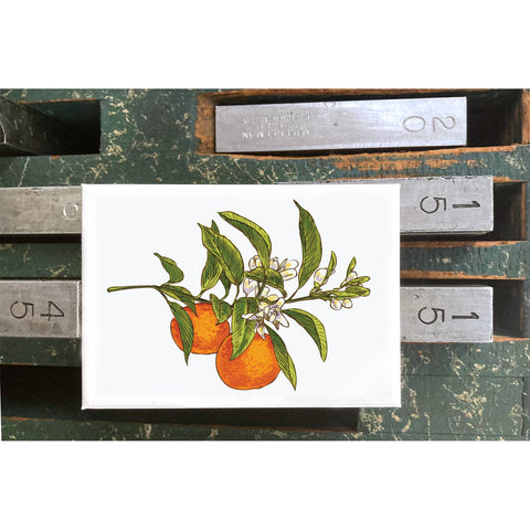 RFM-38 Oranges