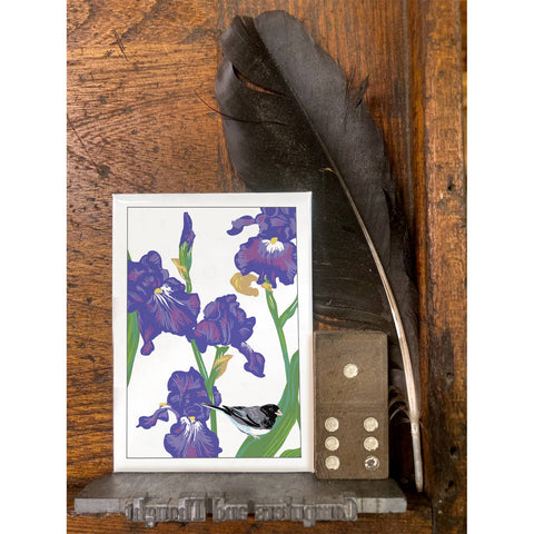 RBI-187 Iris and Junco