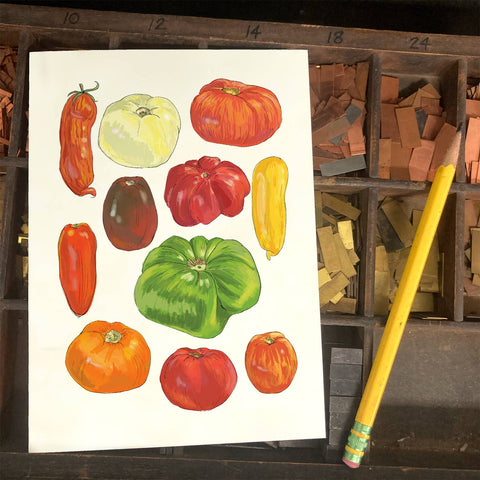 RFM-507 Big Tomatoes