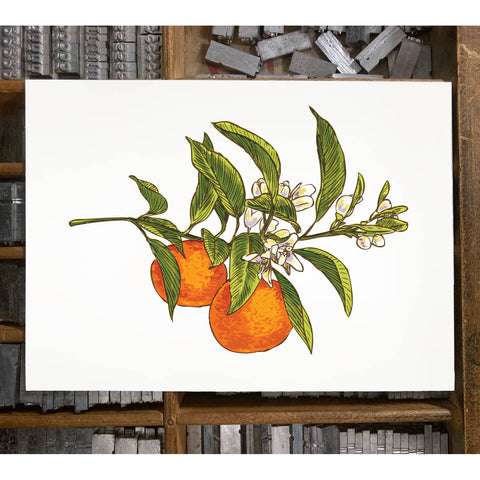 RFM-38 Oranges