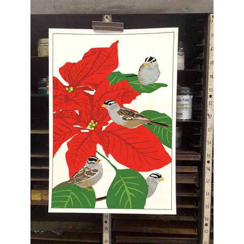 RBI-211 White-Crowned Sparrows & Poinsettias