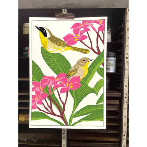RBI-145 Common Yellowthroat & Plumeria