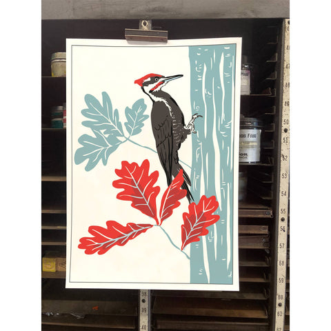 RBI-192 Pileated Woodpecker and Oak