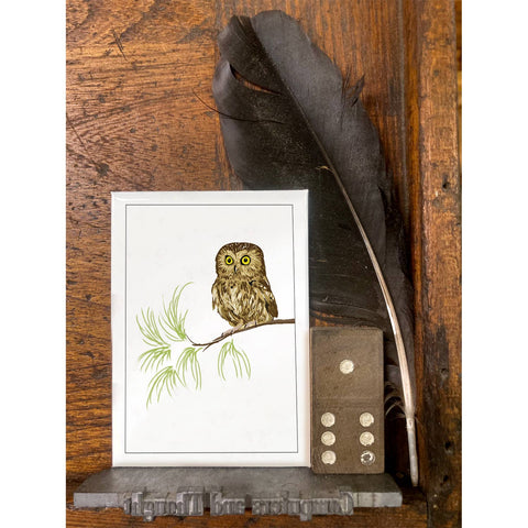 RBI-30 Saw-Whet Owl