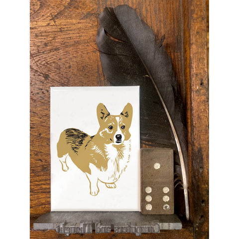 RAN-72 Welsh Corgi