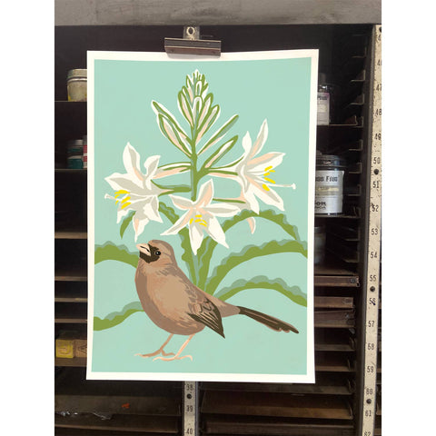 RBI-9149 Aberts Towhee and Desert Lily