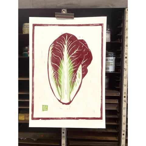 RFM-519 Radicchio
