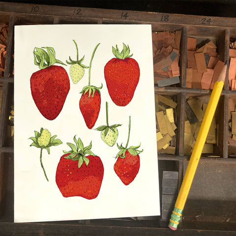RFM-504 Big Strawberries