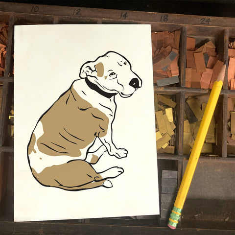 RAN-67 Pitbull, sitting