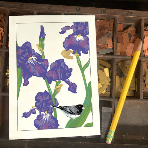 RBI-187 Iris and Junco