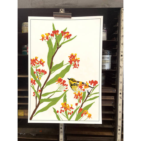 RBI-218 Milkweed & Warbler