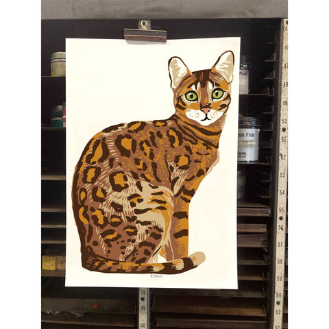 RAN-43 Bengal Cat