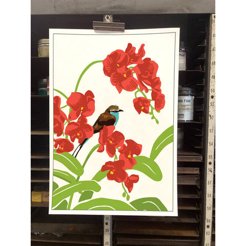 RBI-100 Orchids
