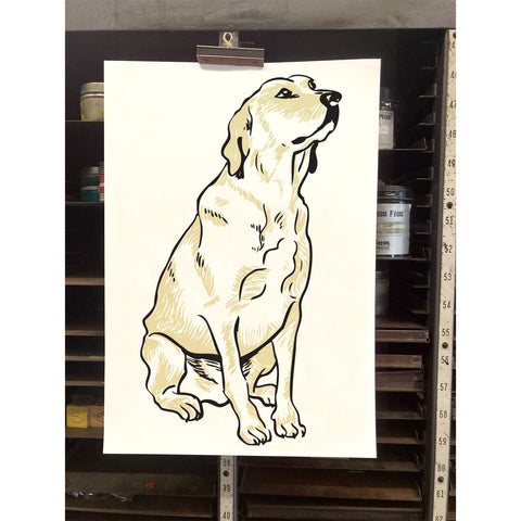 RAN-65 Labrador Retriever, White