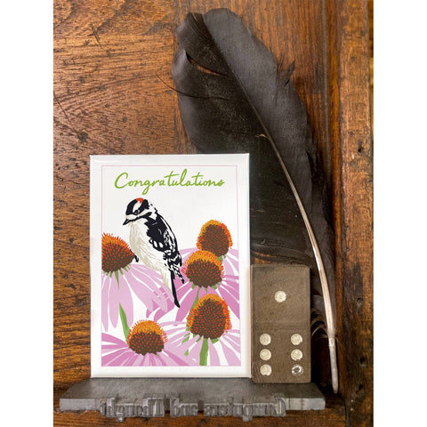 RCO-219 Downy Woodpecker & Coneflower - Congratulations