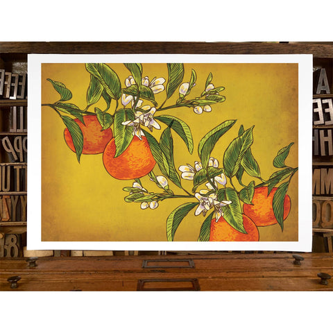 RFM-405 Oranges