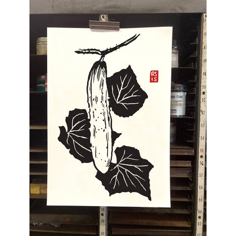 RFM-534 Japanese Cucumber