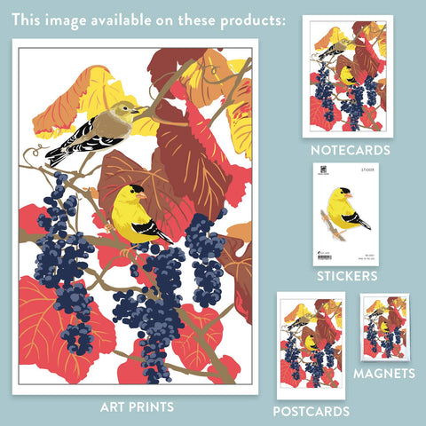 RBI-217 Goldfinch & Grape