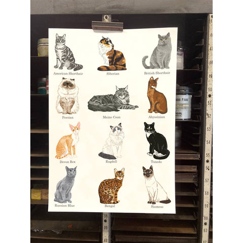 RAN-45 Cat Breeds