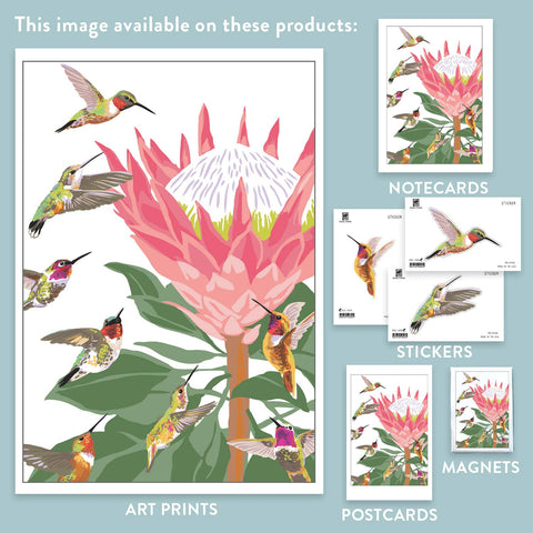 RBI-9151 Hummingbirds and King Protea