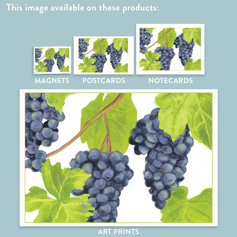 RFM-178 Grapes