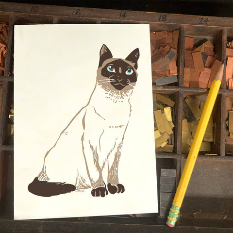 RAN-37 Siamese Cat