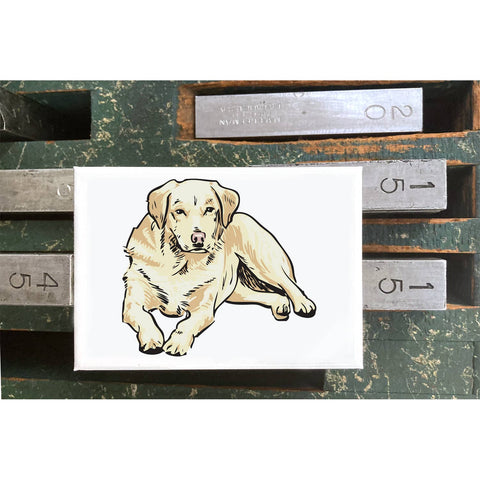RAN-64 Labrador Retriever, Golden