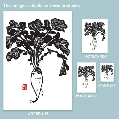 RFM-536 Long Daikon