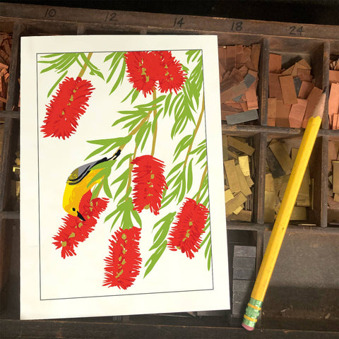 RBI-119 Bottlebrush & Prothonotary Warbler