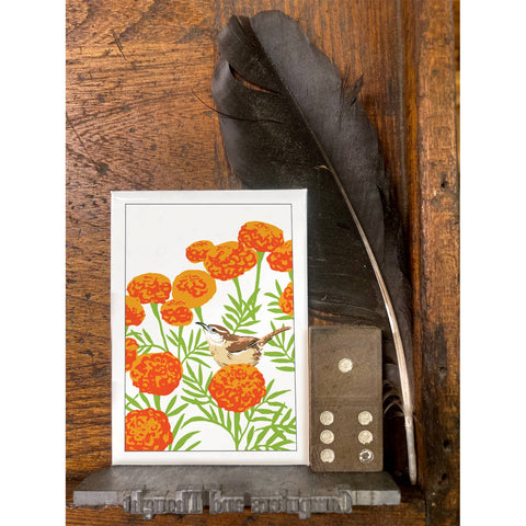 RBI-143 Carolina Wren & Marigolds