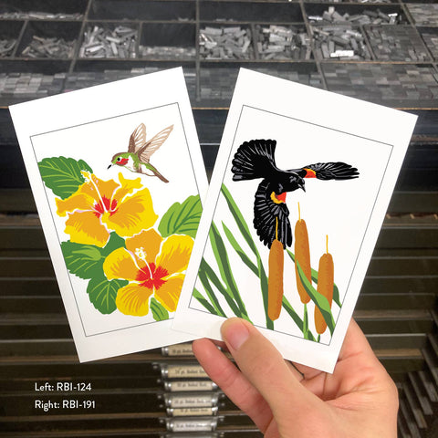 RBI-191 Red-winged Blackbirds and Cattails