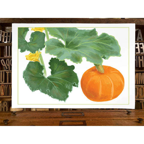 RFM-179 Kabocha Squash