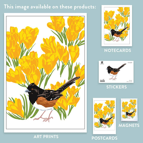 RBI-214 Towhee & Crocus