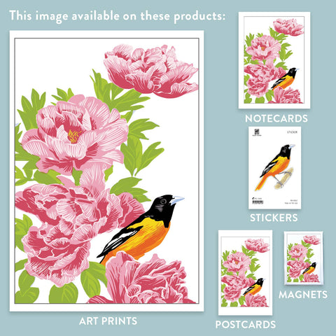 RHB-212 Baltimore Oriole & Peonies - Happy Birthday