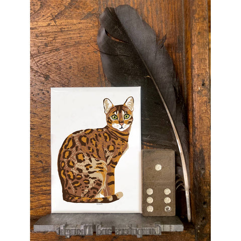 RAN-43 Bengal Cat
