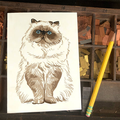 RAN-40 Persian Cat