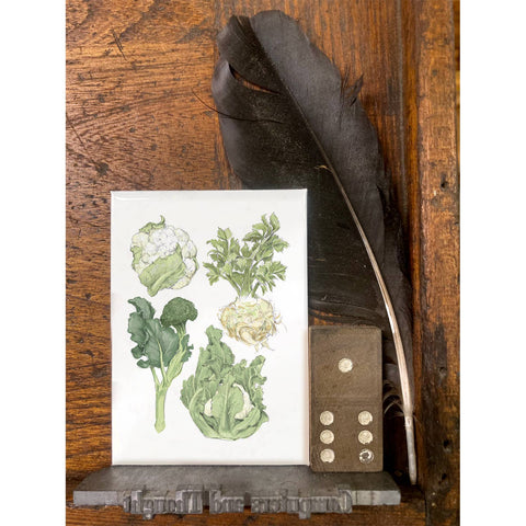 RFM-505 Winter Vegetables