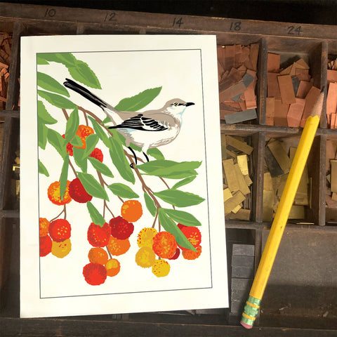 RBI-182 Mockingbird Strawberry Tree