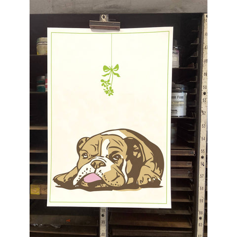 RHO-9005 Bulldog and Mistletoe