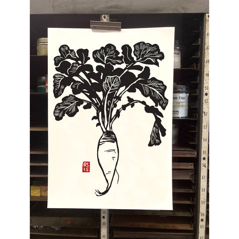 RFM-536 Long Daikon