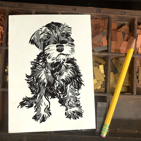 RAN-66 Mini Schnauzer